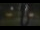 Webcam in Madisonville, Texas, 327.7 km