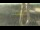Webcam in Madisonville, Texas, 31.7 mi away