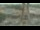 Webcam in Madisonville, Texas, 140.6 km