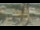 Webcam in Madisonville, Texas, 140.6 km