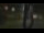 Webcam in Madisonville, Texas, 260 km