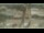 Webcam in Madisonville, Texas, 94.6 mi away