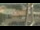 Webcam in Madisonville, Texas, 270.8 km