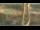 Webcam in Madisonville, Texas, 248.6 km