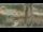 Webcam in Madisonville, Texas, 251.8 km