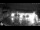 Webcam in Neustadt a. d. Weinstraße, 37 km