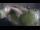 Webcam in Reykjavik, 3.9 km