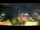 Webcam in Oslo, 27 km