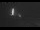 Webcam in Point Arena, California, 37.6 mi away