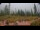 Webcam in the Lassen Volcanic National Park, California, 15.2 mi away