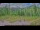 Webcam dans le Lassen Volcanic National Park, Californie, 162.9 km