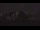 Webcam in the Rocky Mountain National Park, Colorado, 17.9 mi away