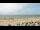 Webcam su Norderney, 1.5 km