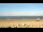 Webcam in Norderney, 0.7 km
