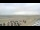 Webcam su Norderney, 0.5 km