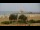 Webcam in Caorle, 1.2 km
