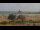 Webcam in Caorle, 3.2 km