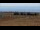 Webcam in Caorle, 0.6 mi away