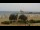 Webcam in Caorle, 0.8 km
