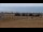 Webcam in Caorle, 1.5 km