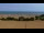 Webcam in Caorle, 0.4 mi away