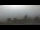 Webcam in Kröv, 0.7 mi away