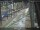Webcam in Sydney, 275.1 mi away