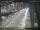 Webcam in Sydney, 263.8 mi away