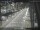 Webcam in Sydney, 683.7 km entfernt