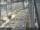 Webcam in Sydney, 8.8 mi away