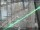 Webcam in Sydney, 631.5 km entfernt