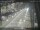 Webcam in Sydney, 720.9 km entfernt