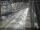 Webcam in Sydney, 59.7 mi away