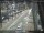 Webcam in Sydney, 720.9 km entfernt