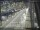 Webcam in Sydney, 532.8 km