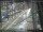 Webcam in Sydney, 275.2 mi away