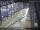 Webcam in Sydney, 1265.9 km