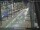 Webcam in Sydney, 1150.3 km