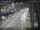 Webcam in Sydney, 1171 km entfernt