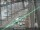 Webcam in Sydney, 685.3 km entfernt