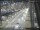 Webcam in Sydney, 291.9 mi away