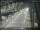 Webcam in Sydney, 278.1 mi away