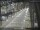 Webcam in Sydney, 287 mi away