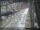 Webcam in Sydney, 116.5 km entfernt