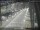 Webcam in Sydney, 275.2 mi away
