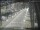 Webcam in Sydney, 713.2 km