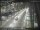 Webcam in Sydney, 0.4 mi away