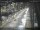 Webcam in Sydney, 1168.1 km entfernt