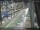 Webcam in Sydney, 712.9 km