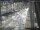 Webcam in Sydney, 3.8 mi away